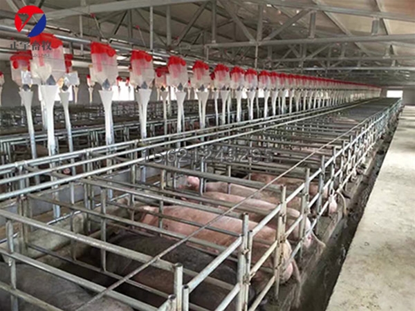 在使用养猪料线时要注意哪些情况？